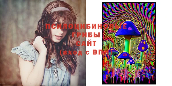а пвп мука Осинники