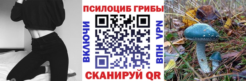 Галлюциногенные грибы Cubensis  darknet клад  Высоковск 