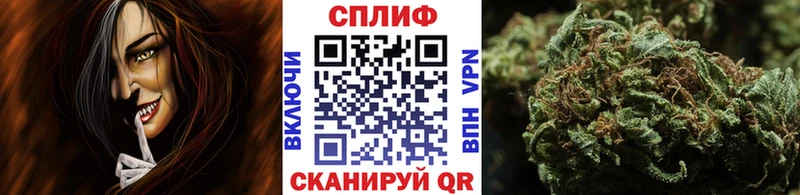 Канабис семена  гидра маркетплейс  даркнет состав  Высоковск 
